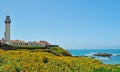 Pigeon Point Light Station, lighthouse, west coast, flowers, Pacific Ocean, beach, California, United States of America, Usa Royalty Free Stock Photo