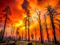 California Wildfire Silhouettes A Powerful Visual Statement on Climate Change and the Urgency for Action Royalty Free Stock Photo