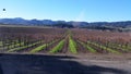 California wine country Royalty Free Stock Photo