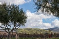 California winery near Livermore Royalty Free Stock Photo