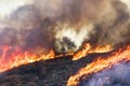 Detail of Burning Hillside with Brush Trees Tall Orange Flames and Black Smoke Royalty Free Stock Photo