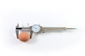 Caliper with egg Royalty Free Stock Photo