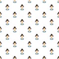 Call center smiling operator with headset pattern