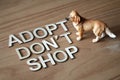 Adopt a pet don`t shop