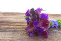 Calla lilly and eustoma flowers Royalty Free Stock Photo