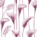 Calla lilly flowers and leaves seamless pattern Translucent watercolor floral print Transparent flowers Elegant botanical drawing Royalty Free Stock Photo