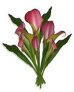 Calla lily bouquet