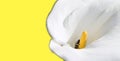 Calla lily close up on yellow background Royalty Free Stock Photo