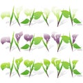 Calla Lily Icon Set