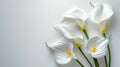 Calla Lily Sympathy Condolence Card on White Background for Loss