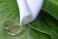 Calla lily and wedding rings Royalty Free Stock Photo