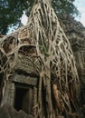 So called Tomb Raider gate at the Ta Prohm temple in Angkor area, Cambodia Royalty Free Stock Photo