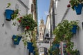 Calleja de las Flores in Cordoba, Andalusia, Spain. Royalty Free Stock Photo