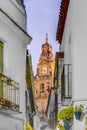 Calleja de las Flores in Cordoba, Andalusia, Spain.