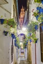 Calleja de las Flores in Cordoba, Andalusia, Spain.