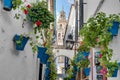 Calleja de las Flores in Cordoba, Andalusia, Spain. Royalty Free Stock Photo