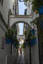 The Calleja de las Flores in Cordoba, Spain