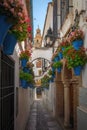 Calleja de las Flores Street with Flower pots and Cathedral Tower - Cordoba, Andalusia, Spain