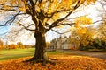 Callendar House in Autumn, Falkirk, Scotland