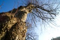 Callendar Wood - Forestry and Land Scotland