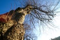 Callendar Wood - Forestry and Land Scotland