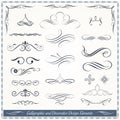 Calligraphic curves and Decorative Patterns Collection