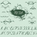 Calligraphic design elements and alphabet Royalty Free Stock Photo