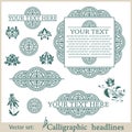 Calligraphic design elements. Vector illustration Royalty Free Stock Photo