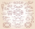 Calligraphic elegant elements design.Vector illustration. Royalty Free Stock Photo