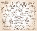 Calligraphic elegant elements design.Vector illustration. Royalty Free Stock Photo