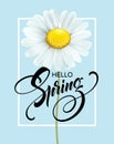 Calligraphic inscription Hello Spring with spring flower - blooming white daisy. Vector illustration