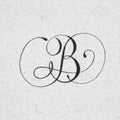 Calligraphic letter B.