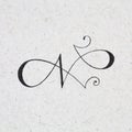 Calligraphic letter N.