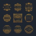 Calligraphic Luxury line logo. Flourishes elegant emblem monogram. Royal vintage divider design