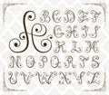 Calligraphic swirly alphabet Royalty Free Stock Photo