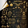 Calligraphic vector decorative elements vintage design Royalty Free Stock Photo