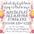 Calligraphic vector font with numbers ampersand and symbols flower hand drawn alphabet lettering