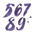 Calligraphic watercolor numbers. Brush lettering. Vector illustration