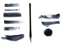 calligraphy chinese brush set watercolor and abstract ink black.isolated on white background Royalty Free Stock Photo