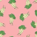 Calligraphy daikon vector coloured pink pattern