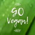 Calligraphy Go Vegan. Vector hand drawn sign. Elements for design. Motivational quote.