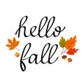 Calligraphy hand lettering Hello fall with autumn maple leaves and acorns Royalty Free Stock Photo