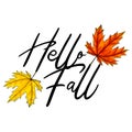 Calligraphy inscription HELLO FALL, with yellow and red maple leaves. Handwritten lettering decorated by autumn foliage Royalty Free Stock Photo