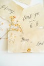 calligraphy invitation cards. lettering