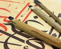 Calligraphy pen Royalty Free Stock Photo