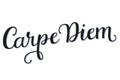 Carpe Diem Calligraphy Script Royalty Free Stock Photo