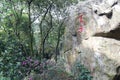 Calligraphy stone on qingyuanshan mountain, adobe rgb