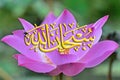 Calligraphy of `Subhanallah` Royalty Free Stock Photo