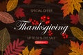 Calligraphy of Thanksgiving Day Sale banner. Seasonal lettering, vector illustration. Royalty Free Stock Photo