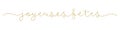 JOYEUSES FETES gold brush calligraphy banner HAPPY HOLIDAYS in French Royalty Free Stock Photo